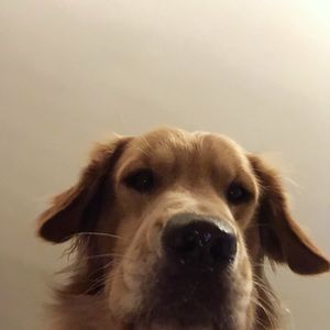 Meet your Posher, Mia